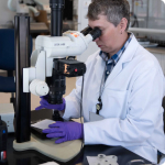 Научные разработки и исследования